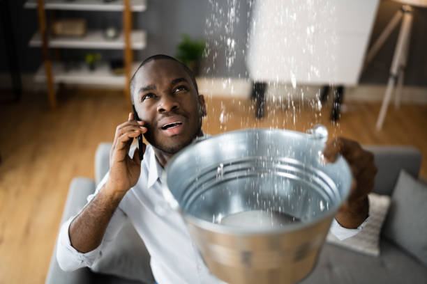 Trusted South Elgin, IL Water damage restoration Experts