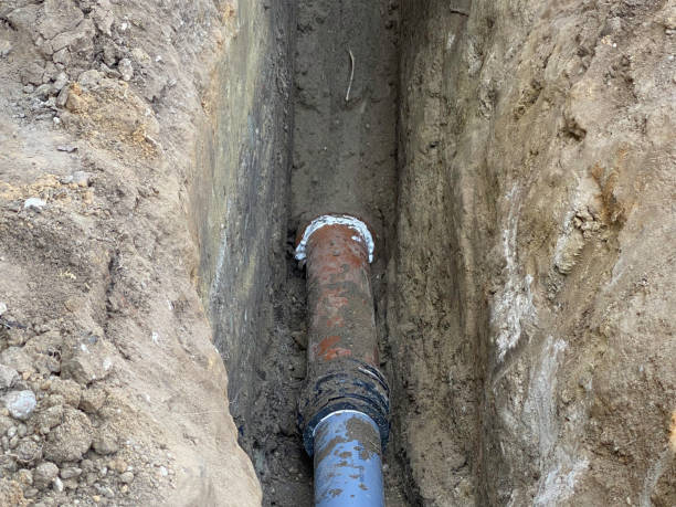 Best Flooded house restoration  in South Elgin, IL