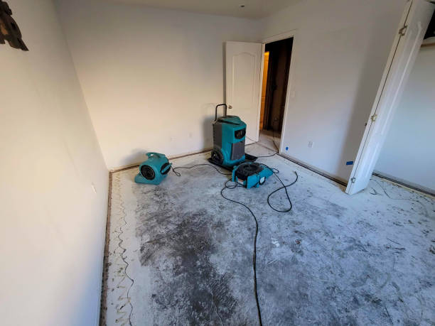 Best Ceiling water damage repair  in South Elgin, IL
