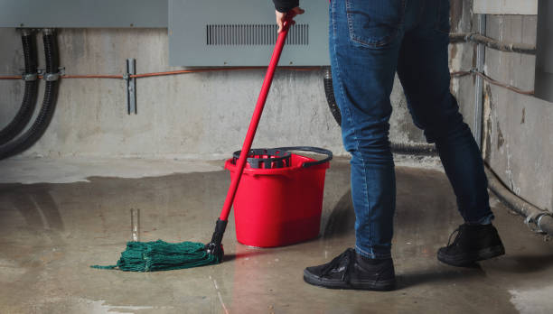 Best Residential water damage restoration  in South Elgin, IL