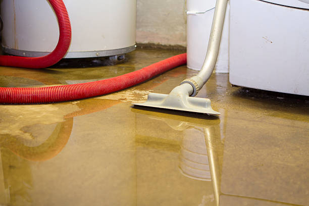 Best 24-hour water damage restoration  in South Elgin, IL