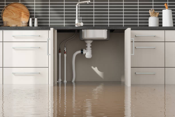 Water damage restoration insurance claims in South Elgin, IL