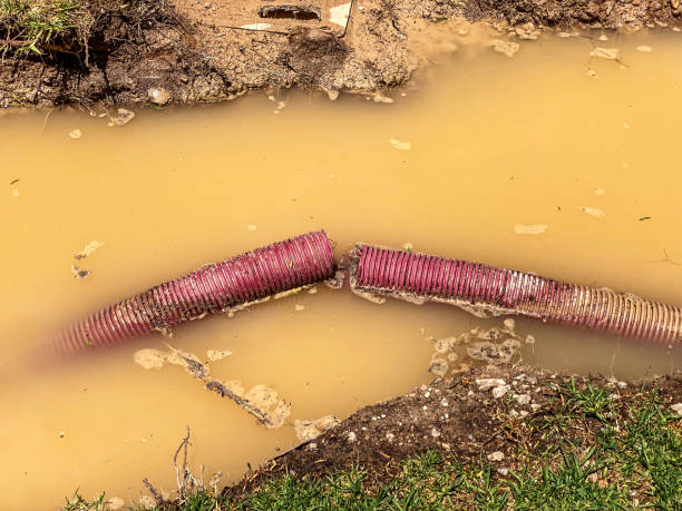  South Elgin, IL Water damage restoration Pros