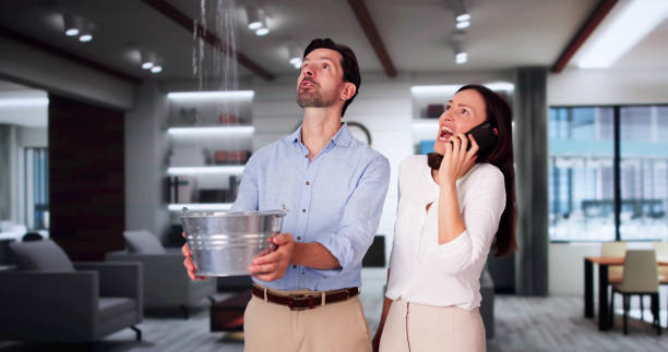 Best Flood restoration services  in South Elgin, IL